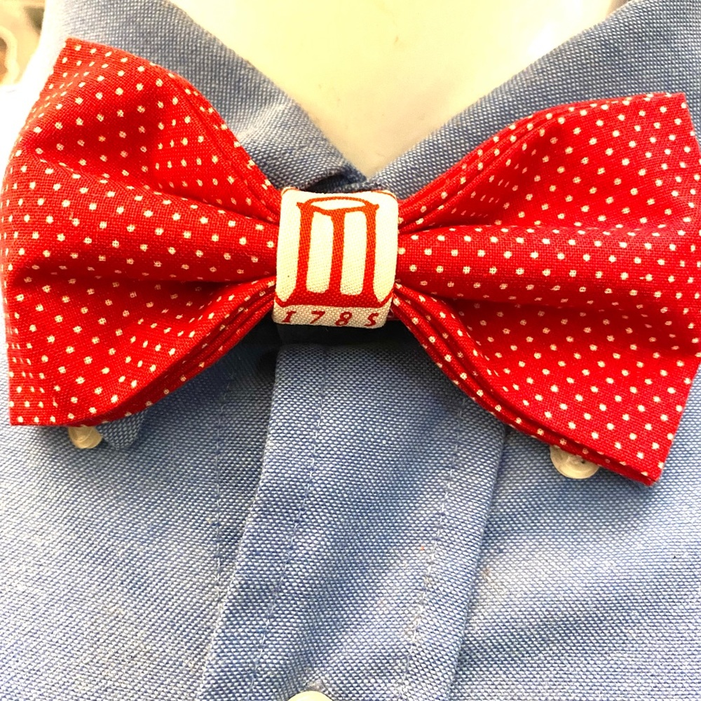 UGA arch bowtie